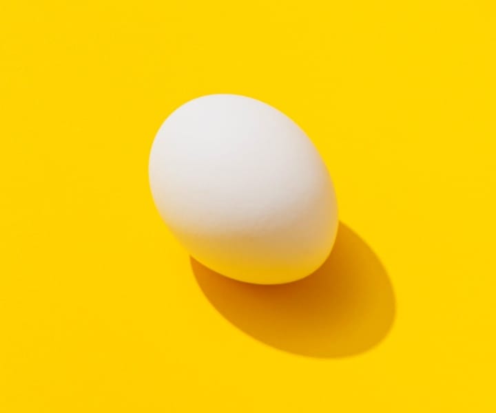 white egg on a bright yellow background